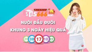 Nuôi Đầu Đuôi Khung 3 Ngày Bất Bại Trên Mọi Chiến Trường S666