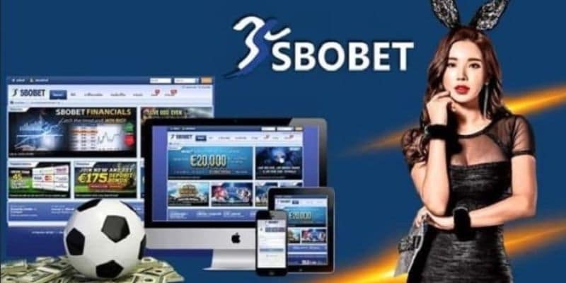 Nhà Cái Sbobet – Top Đầu Về Độ Uy Tín Và Chất Lượng