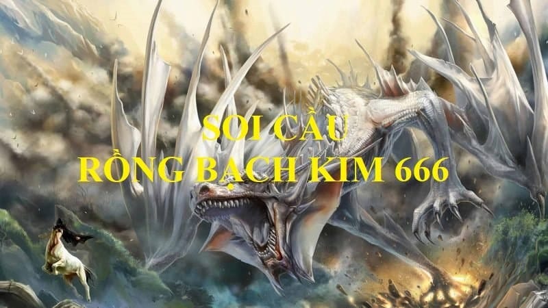 Áp dụng kinh nghiệm soi cầu Rồng Bạch Kim chuẩn xác để mang lại hiệu quả