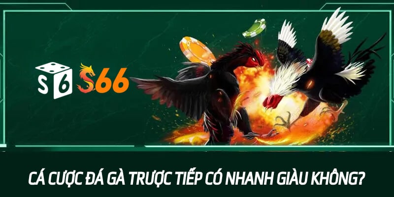 Cá cược đá gà trực tiếp có nhanh giàu không?